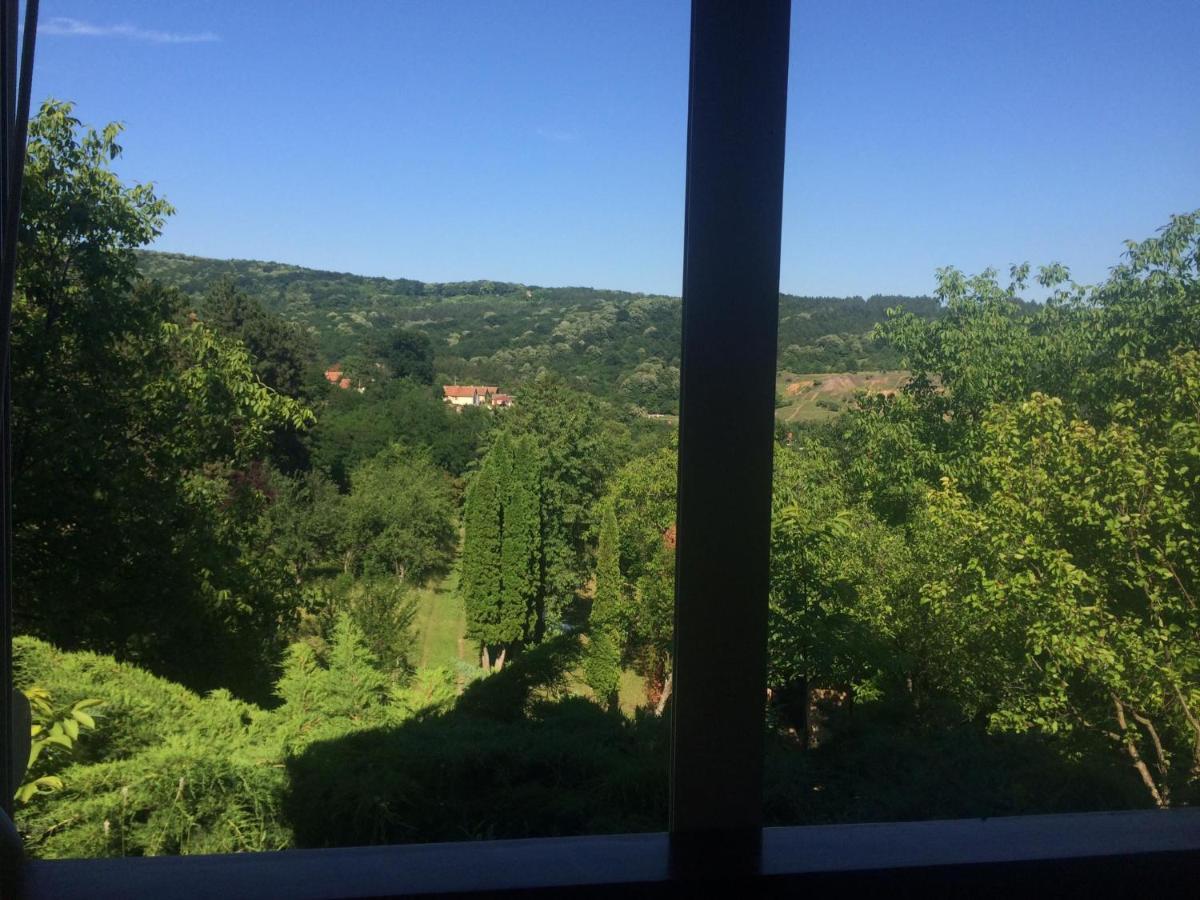 Holiday Home Nanin Konak 2 维尔蒂尼克 外观 照片