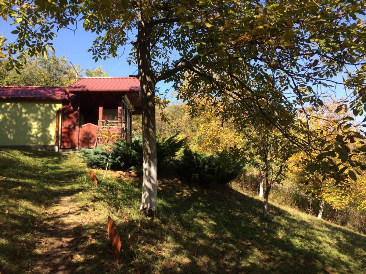 Holiday Home Nanin Konak 2 维尔蒂尼克 外观 照片