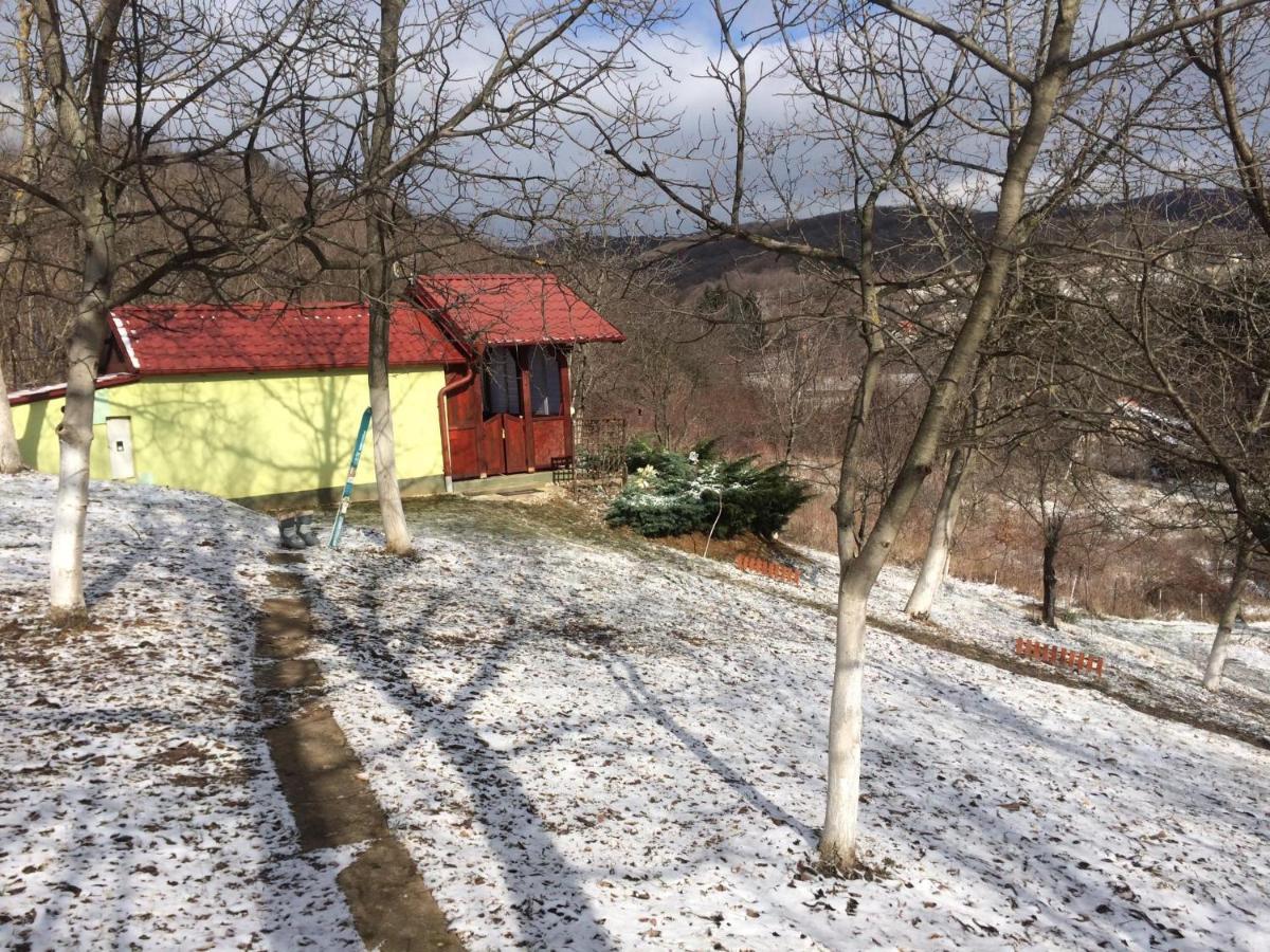 Holiday Home Nanin Konak 2 维尔蒂尼克 外观 照片