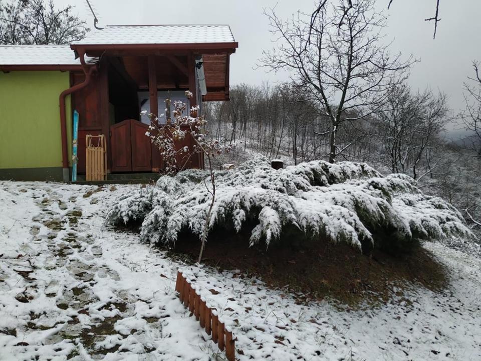 Holiday Home Nanin Konak 2 维尔蒂尼克 外观 照片