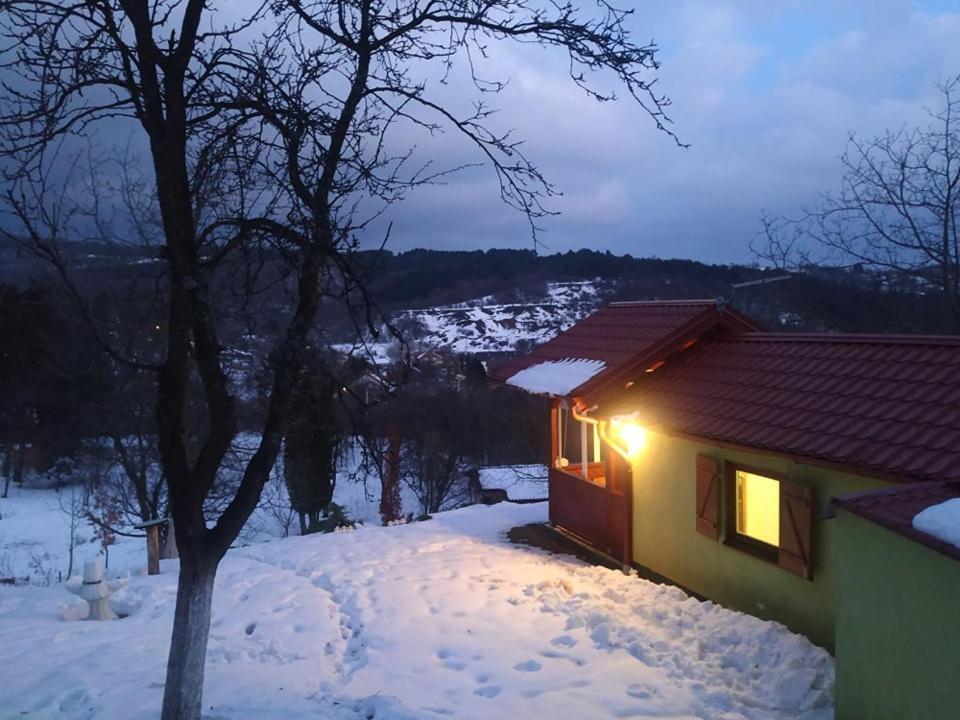 Holiday Home Nanin Konak 2 维尔蒂尼克 外观 照片