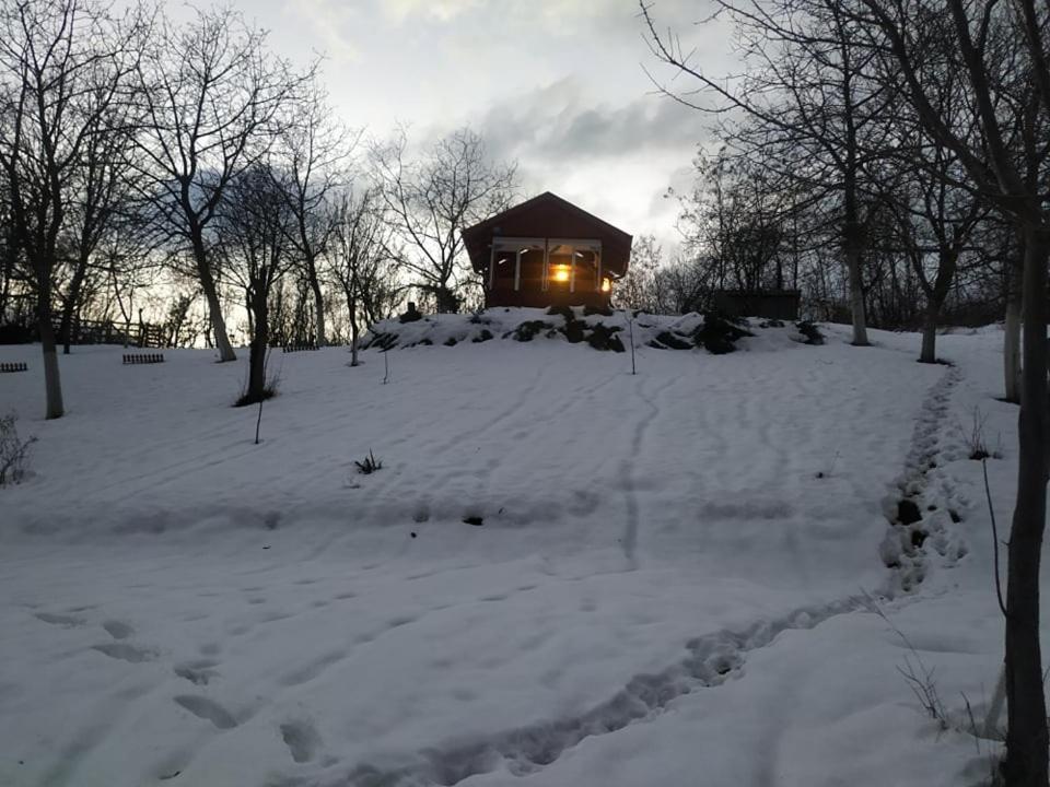 Holiday Home Nanin Konak 2 维尔蒂尼克 外观 照片