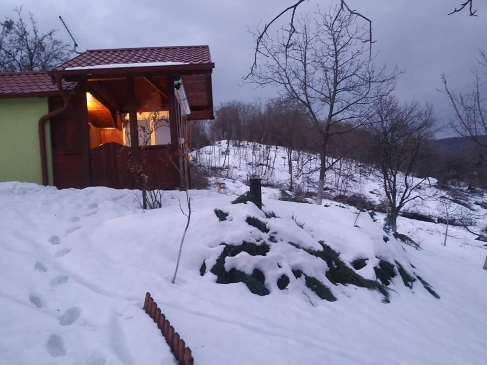 Holiday Home Nanin Konak 2 维尔蒂尼克 外观 照片