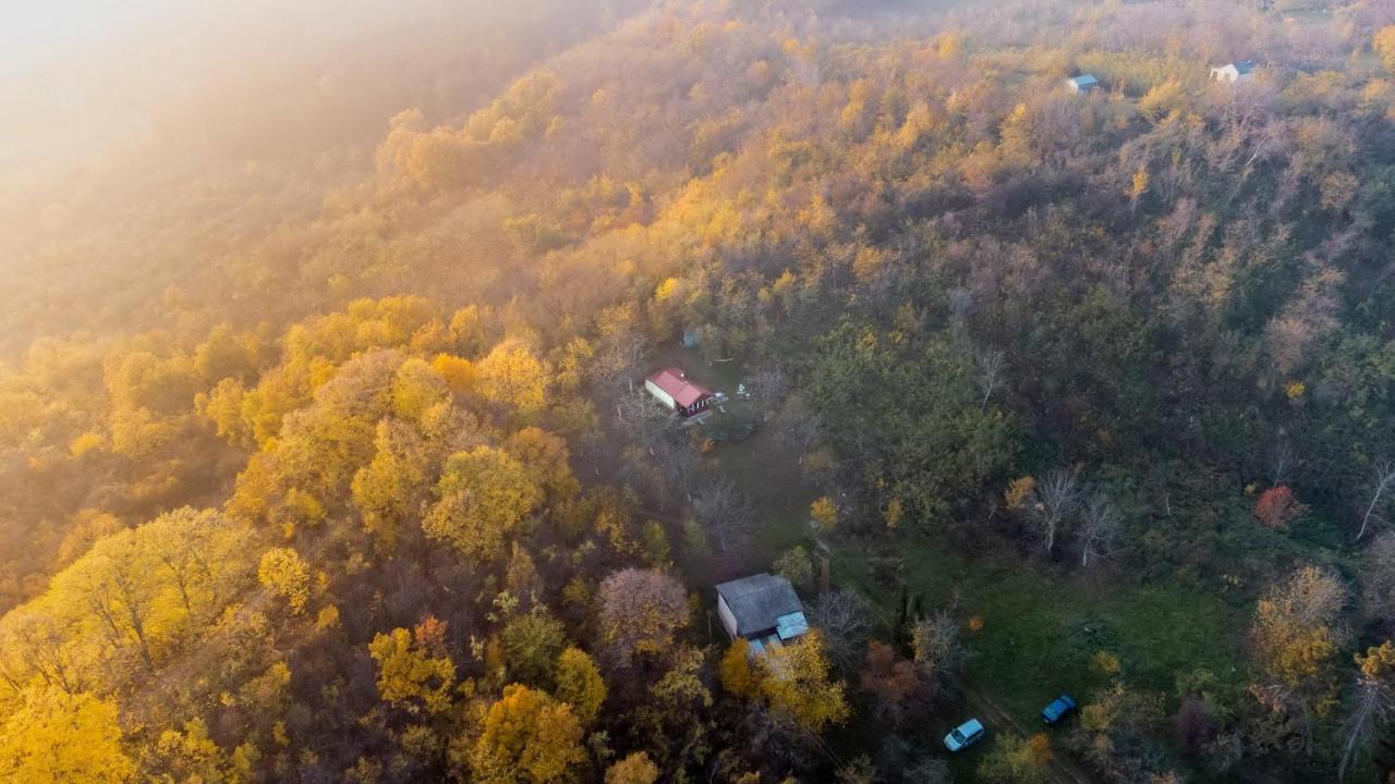 Holiday Home Nanin Konak 2 维尔蒂尼克 外观 照片