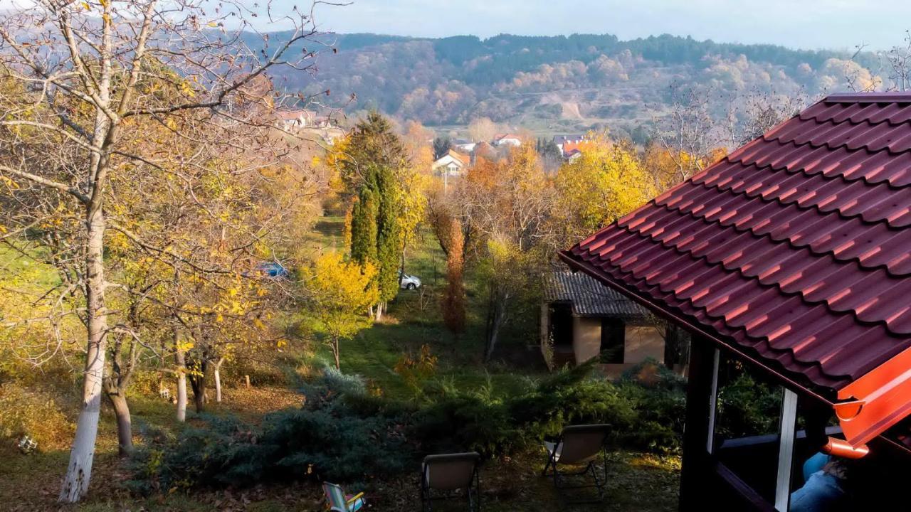 Holiday Home Nanin Konak 2 维尔蒂尼克 外观 照片