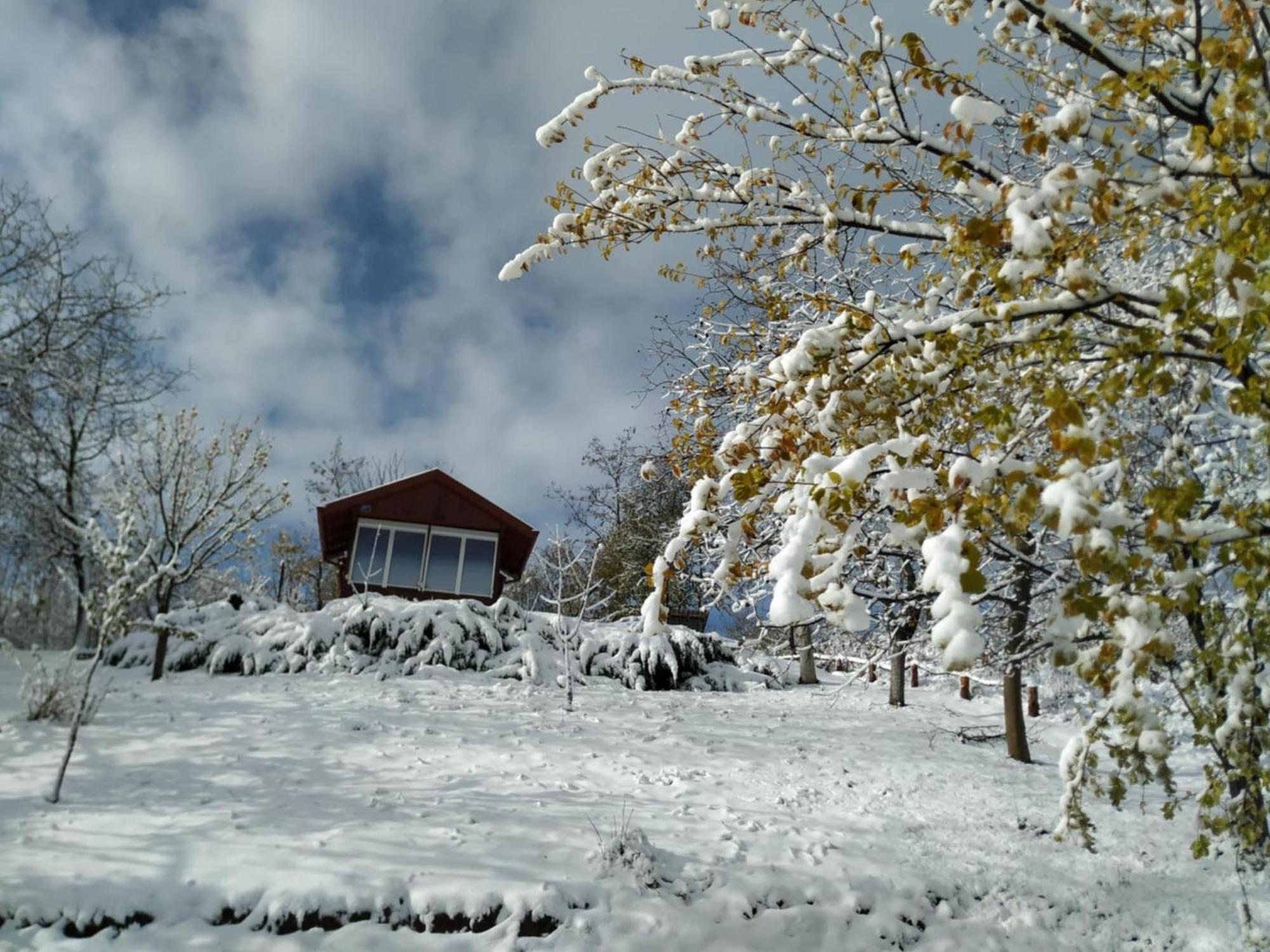 Holiday Home Nanin Konak 2 维尔蒂尼克 外观 照片