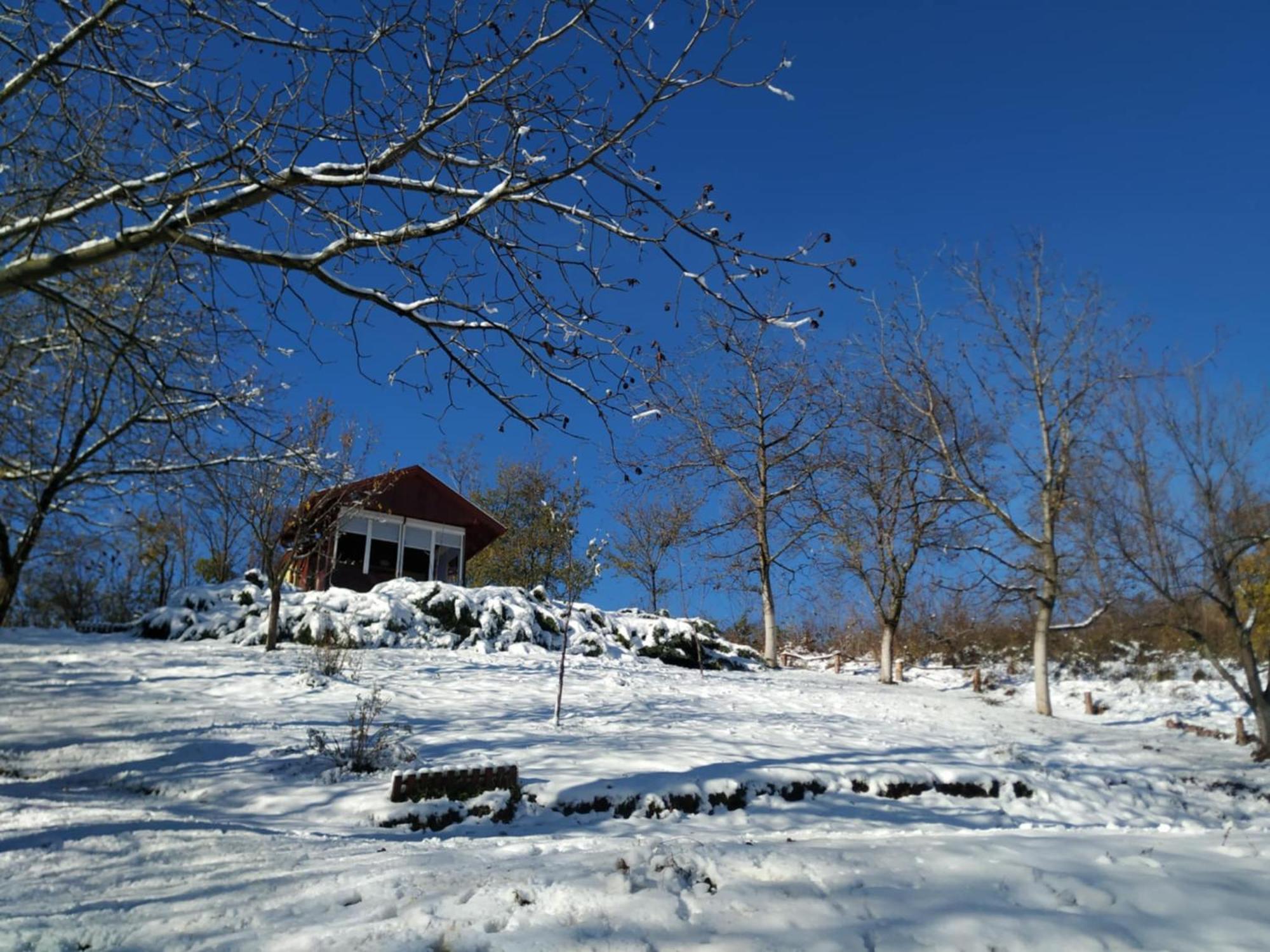 Holiday Home Nanin Konak 2 维尔蒂尼克 外观 照片