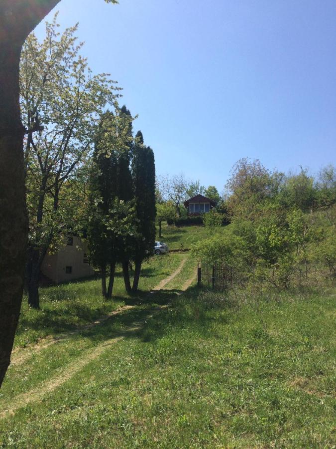 Holiday Home Nanin Konak 2 维尔蒂尼克 外观 照片