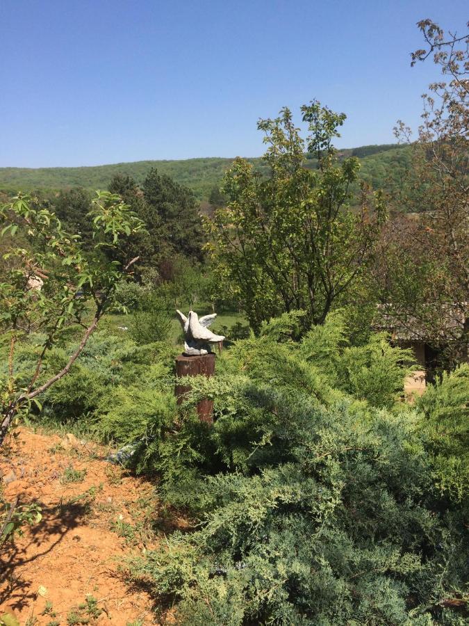 Holiday Home Nanin Konak 2 维尔蒂尼克 外观 照片