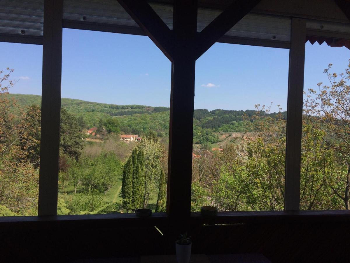 Holiday Home Nanin Konak 2 维尔蒂尼克 外观 照片